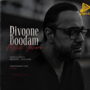 دانلود آهنگ جدید دیوونه بودم از مهدی جهانی