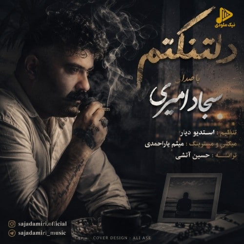 دانلود آهنگ جدید دلتنگتم از سجاد امیری