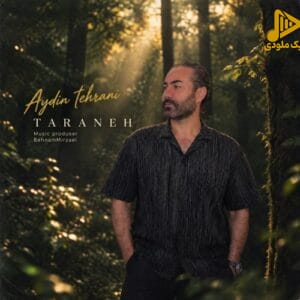آیدین تهرانی - ترانه