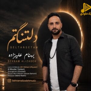 بهنام علیزاده - دلتنگتم