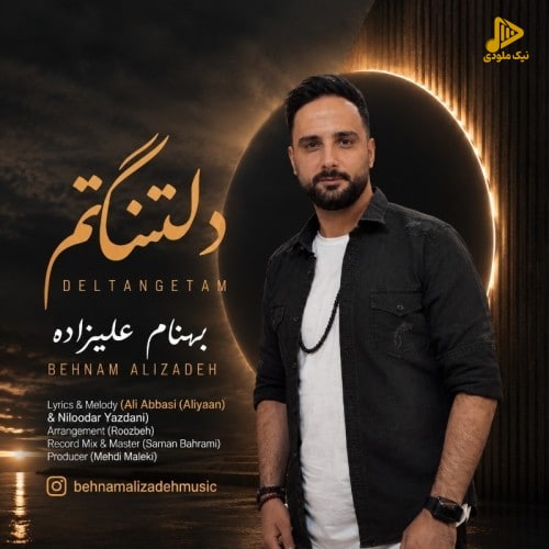 بهنام علیزاده - دلتنگتم