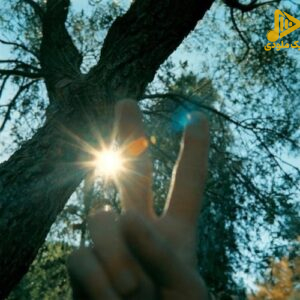 هیچکس - هنو به یادتم
