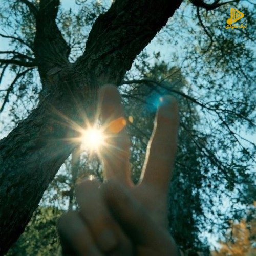 هیچکس - هنو به یادتم
