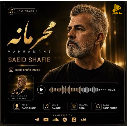 سعید شفیعی - محرمانه