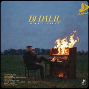 سینا پارسیان - بی دلیل
