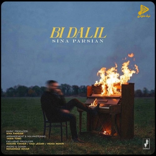 سینا پارسیان - بی دلیل