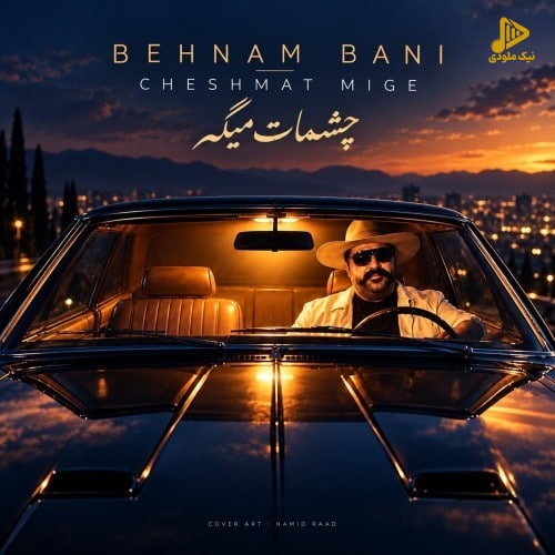 بهنام بانی - چشات میگه