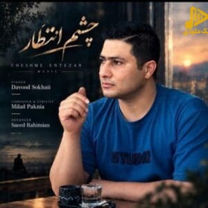 داوود سخائی - چشم انتظار