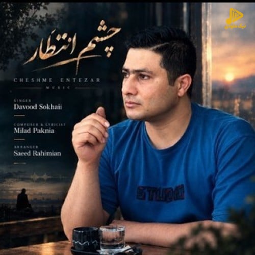 داوود سخائی - چشم انتظار