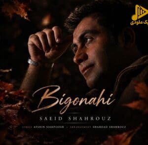 شعید شهروز - بی گناهی