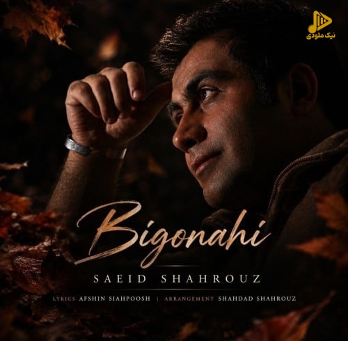 شعید شهروز - بی گناهی
