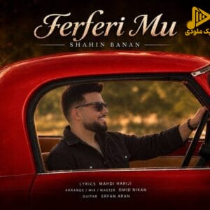 شاهین بنان - فرفری مو